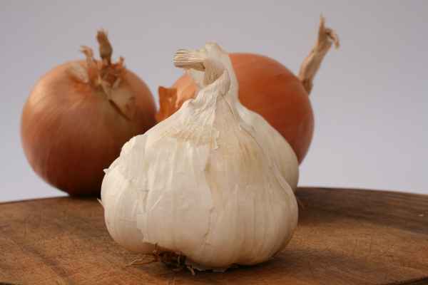 Knoblauch und Zwiebeln