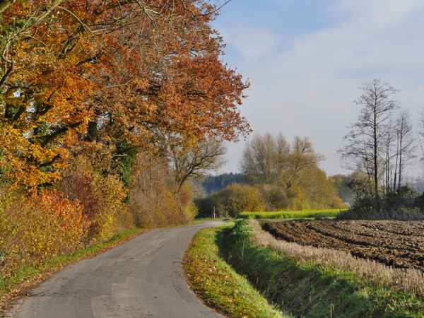 Spätherbst im Münsterland