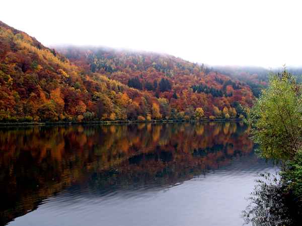 Herbst an der Mosel