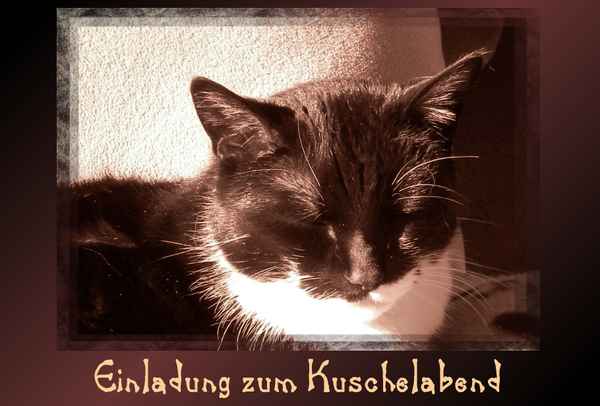 Aira's Postkarten - "Einladung zum Kuscheln"