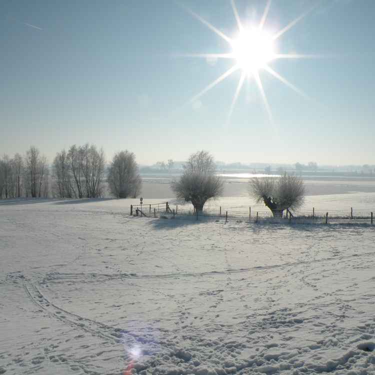 Winterimpressionen 17