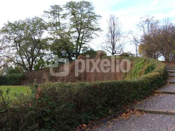 Park am Japanischen Palais