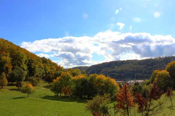 Herbstbild