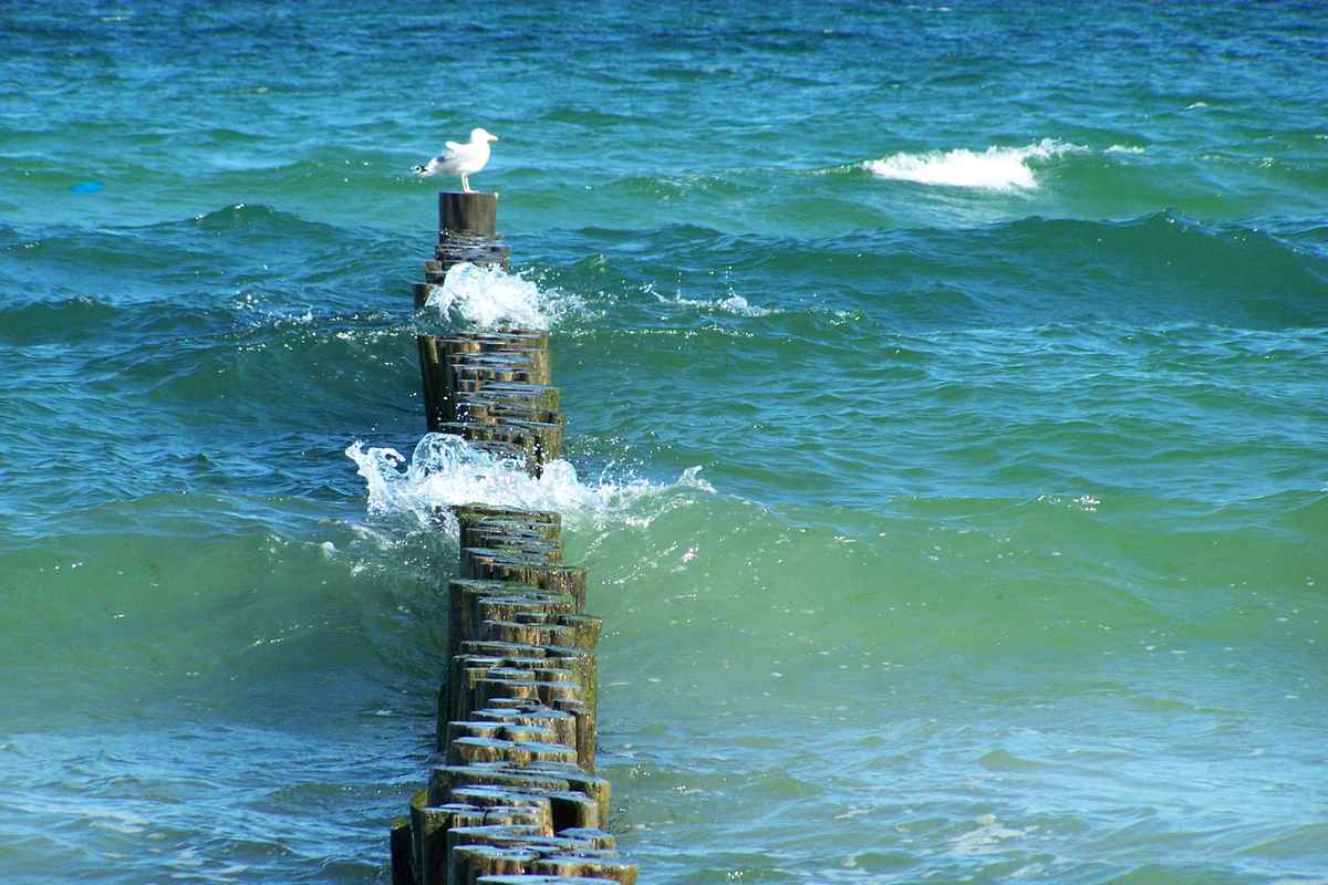 Pfosten in der Ostsee