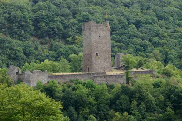 Manderscheid in der Eifel, Burgruine #3