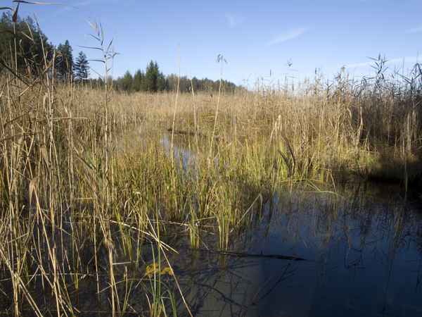 Herbststimmung rund um die Osterssen 2