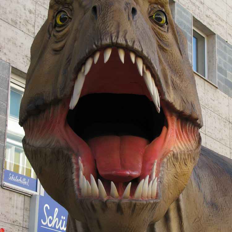 t Rex
