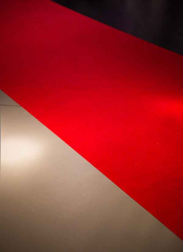 Auf dem roten Teppich