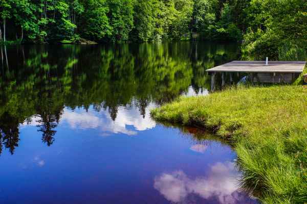 Waldsee mit Badesteg