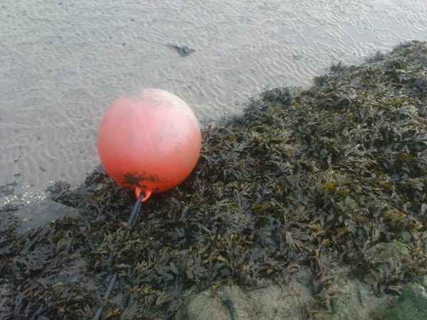 Wattenmeer mit Farbklecks