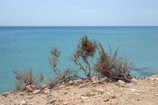 Fuerteventura