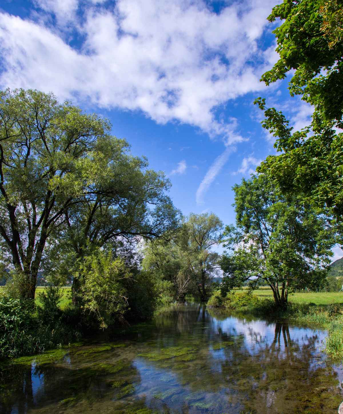 Donau-Nebenfluss bei Tuttlingen 2