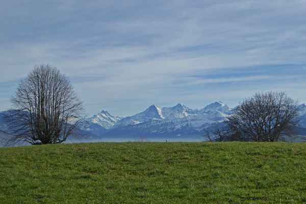 Lauteraarhorn und das Berner Dreigestirn
