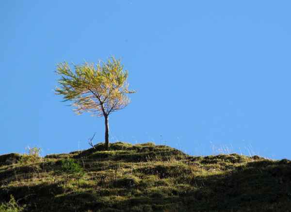 Trotzig gegen Sturm und Wind