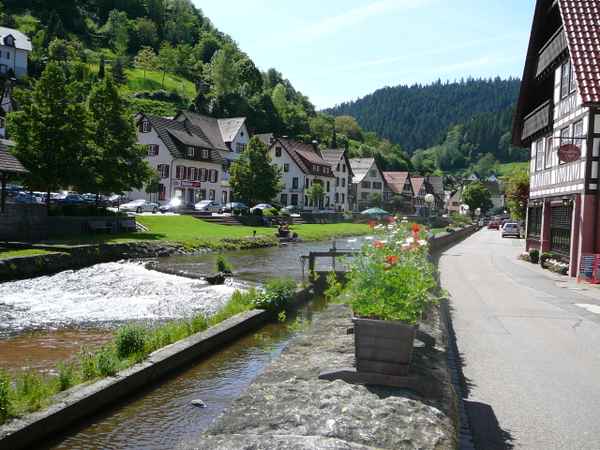 Landschaft - Natur