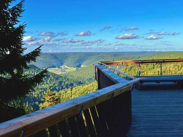 Aussichtsplattform Ellbachseeblick_2