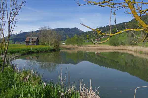 Im abgeschiedenen Alptal