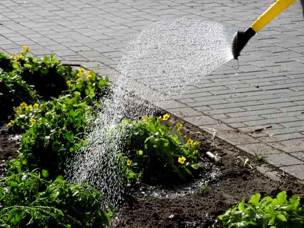 Blumen giessen