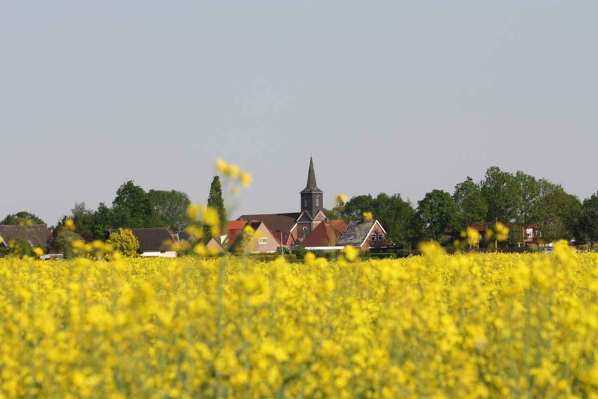 Dörfchen hinterm Rapsfeld
