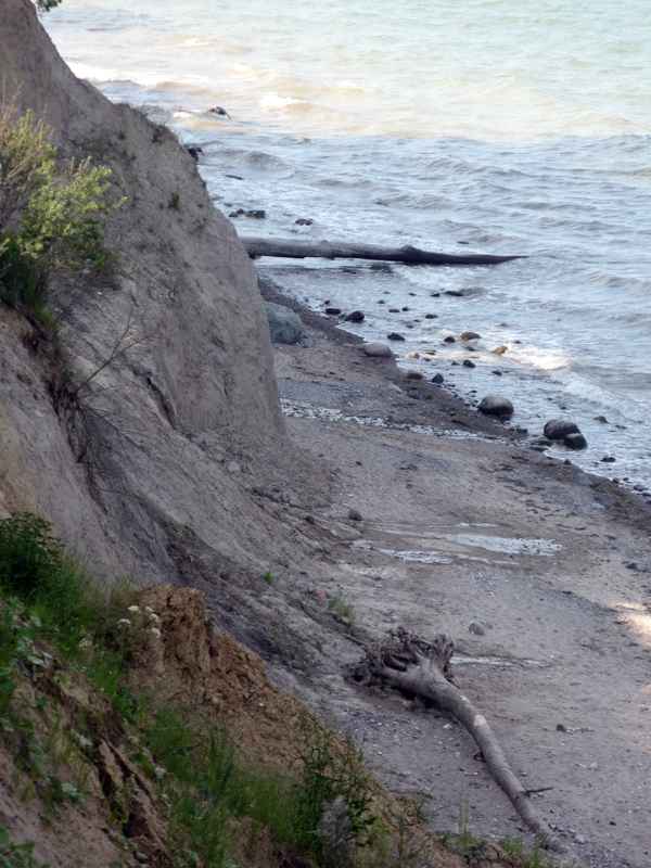 Steilufer, Brodtner Ufer