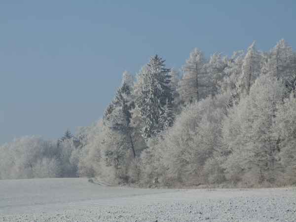 Winterreif im Odenwald, Serie 2