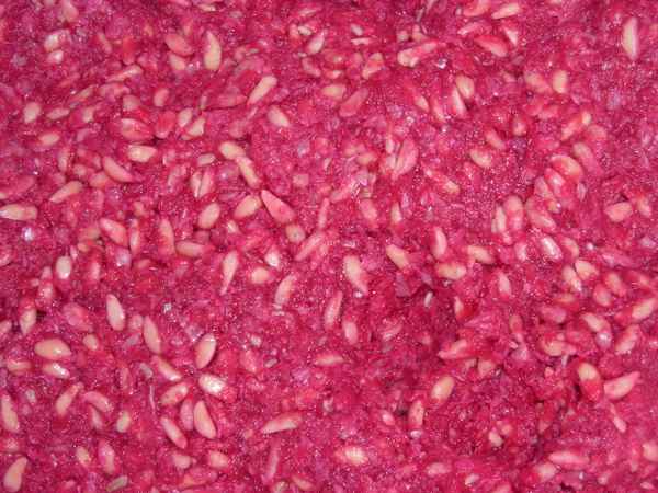 Granatapfel Fruchtfleisch mit Kerne