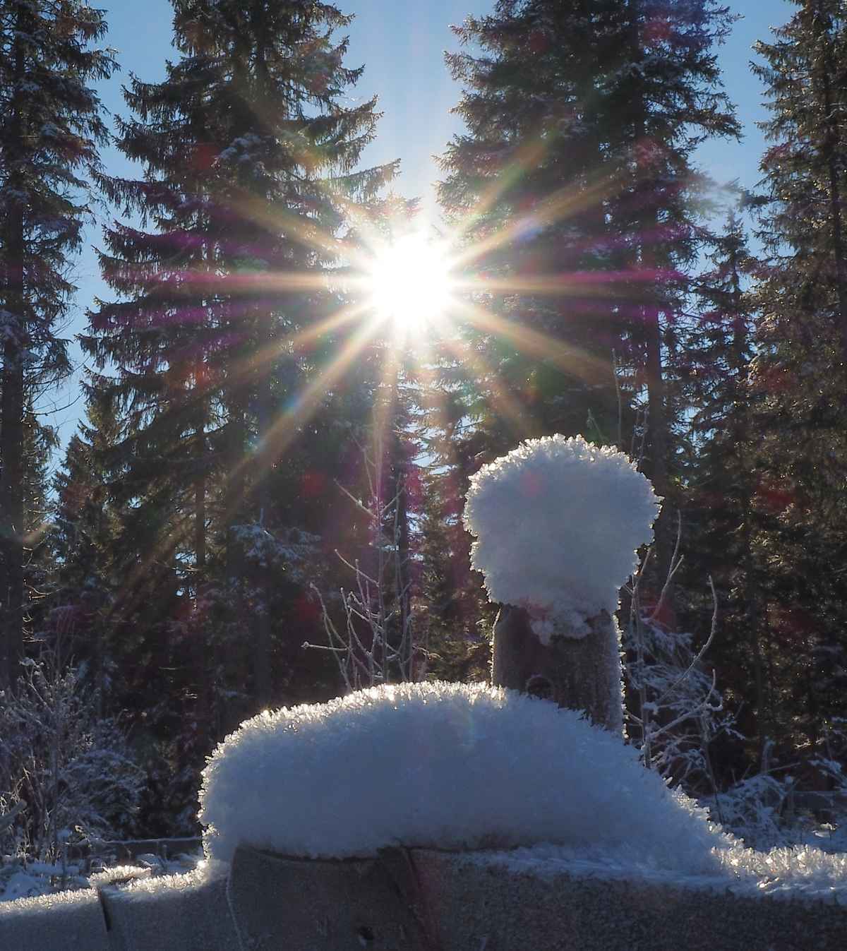 Winterwunderland