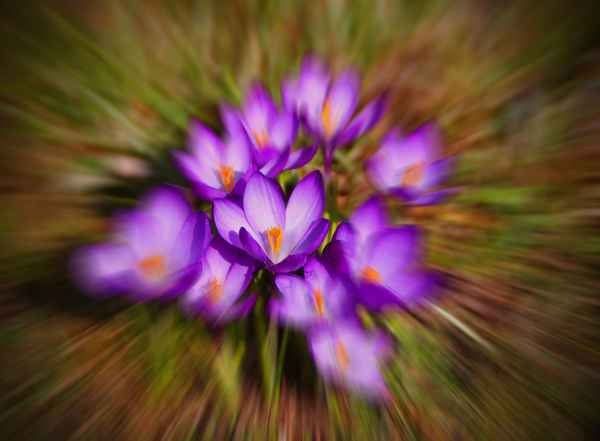 Frühling einmal anders 01
