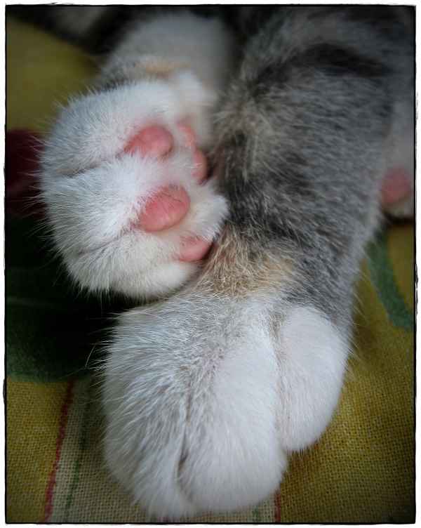 zeigt her eure füßchen...