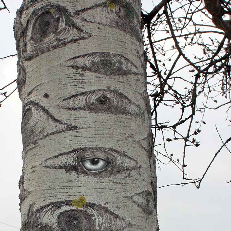 Sie sind überall.../Augenweide