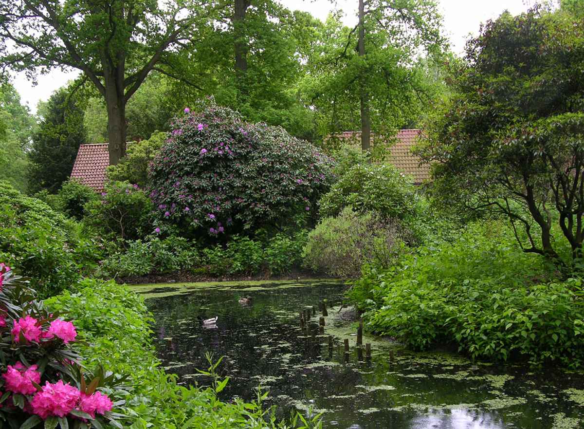 Rhododendronpark Bremen V