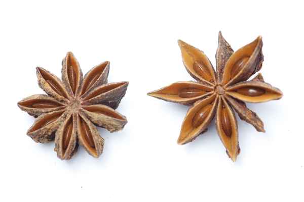 Sternanis