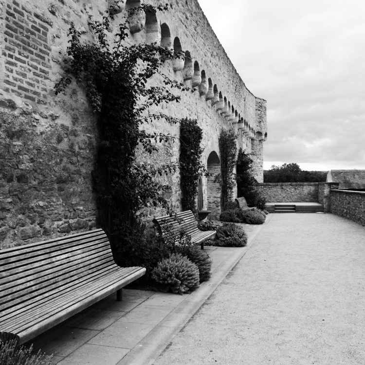 Eltville - Die Burg - Alltag