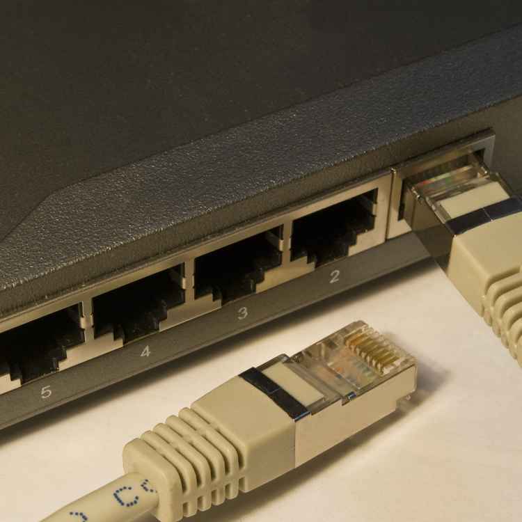 Netzwerk