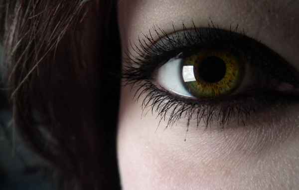 Auge