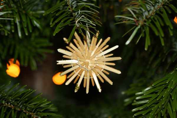 Strohstern am Weihnachtsbaum