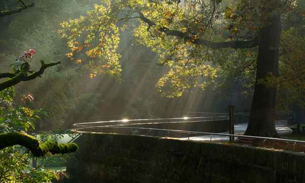 wenn der Tiergarten noch schläft