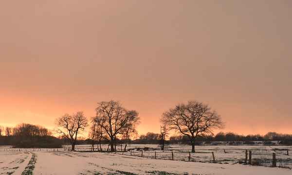 winterlandschaft 3