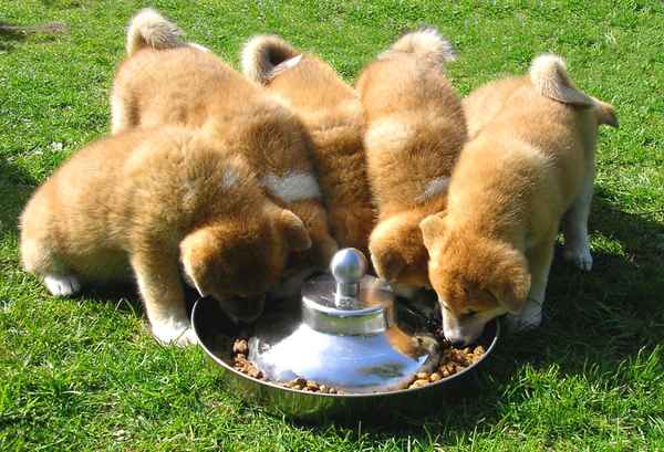 FRÜHSTÜCK IM KINDERGARTEN