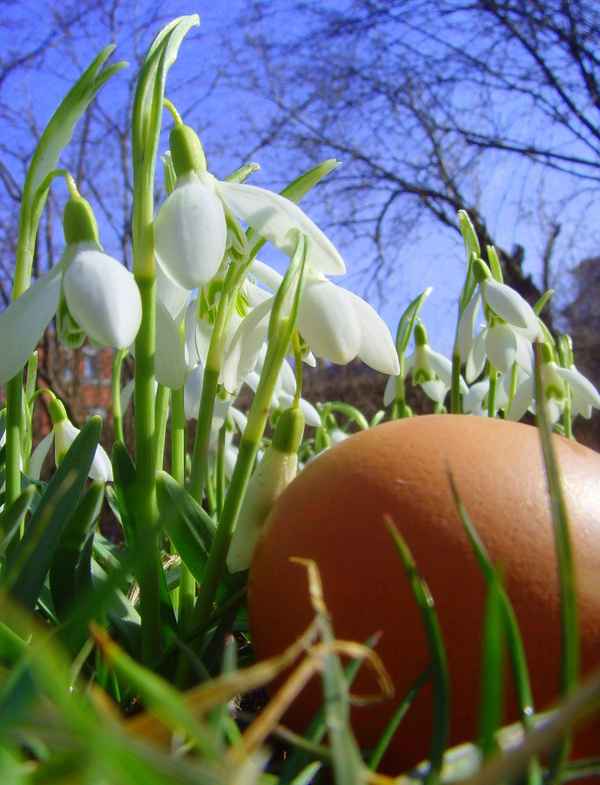 Der Osterhase war schon wieder unterwegs....