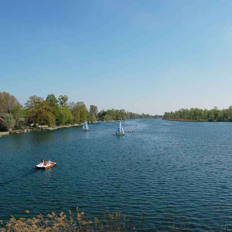 Wien_Alte_Donau
