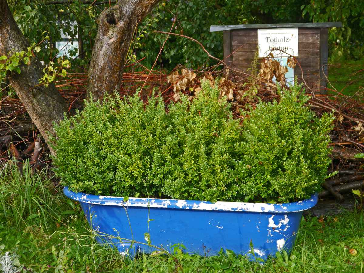 Natur in der Badewanne