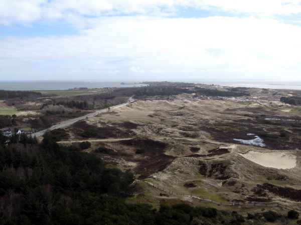 Blick über die Insel Amrum