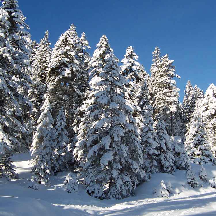 Winter in Österreich