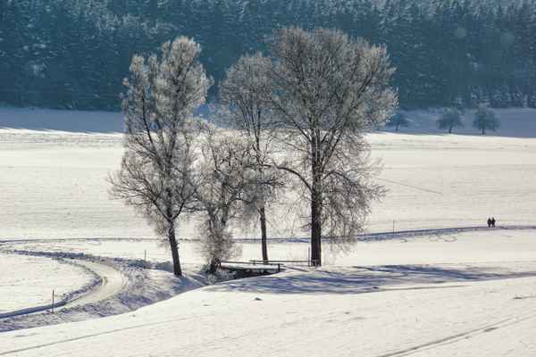 Winterwanderung