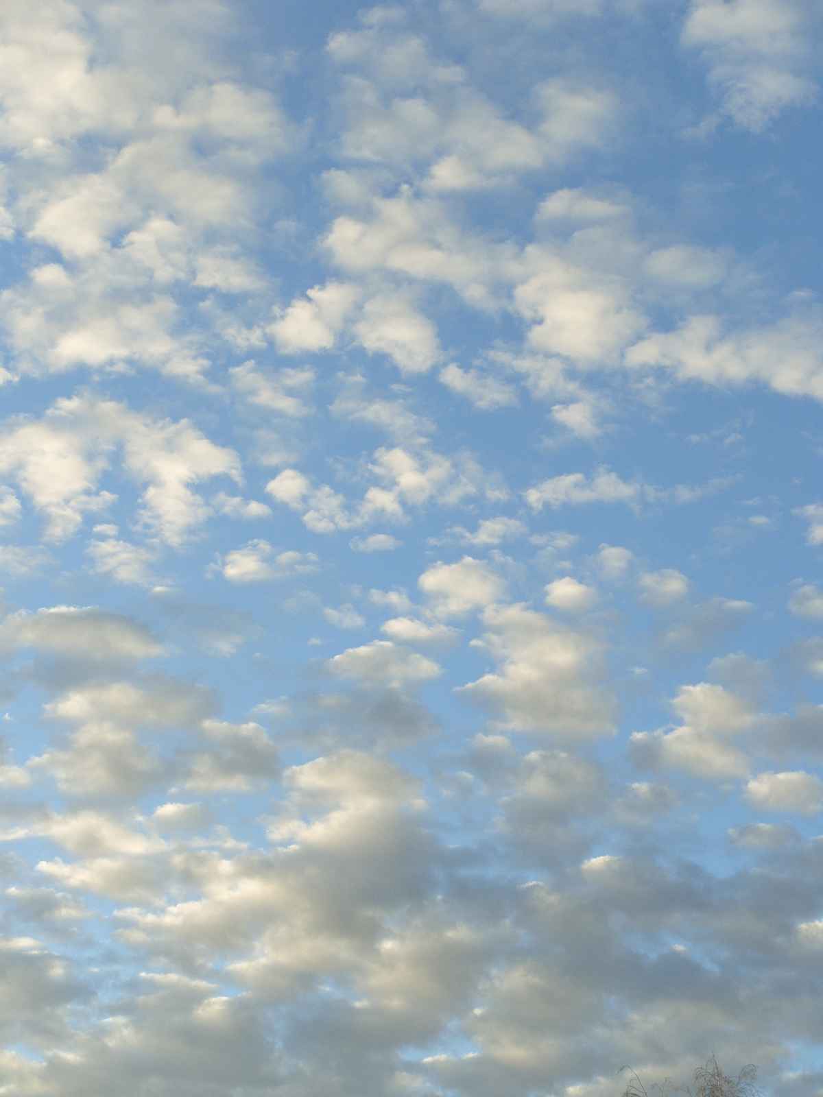 Le ciel