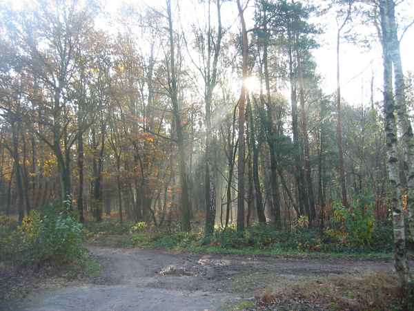 Waldweg 18
