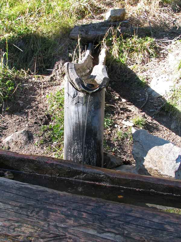 Wasser - Quelle des Lebens!