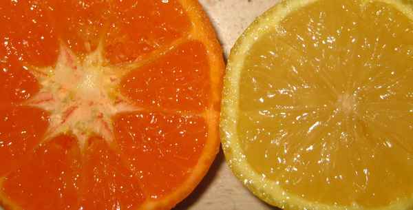 Mandarine und Zitrone, Teilansicht