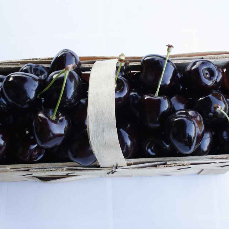 schwarze Süsskirschen #1